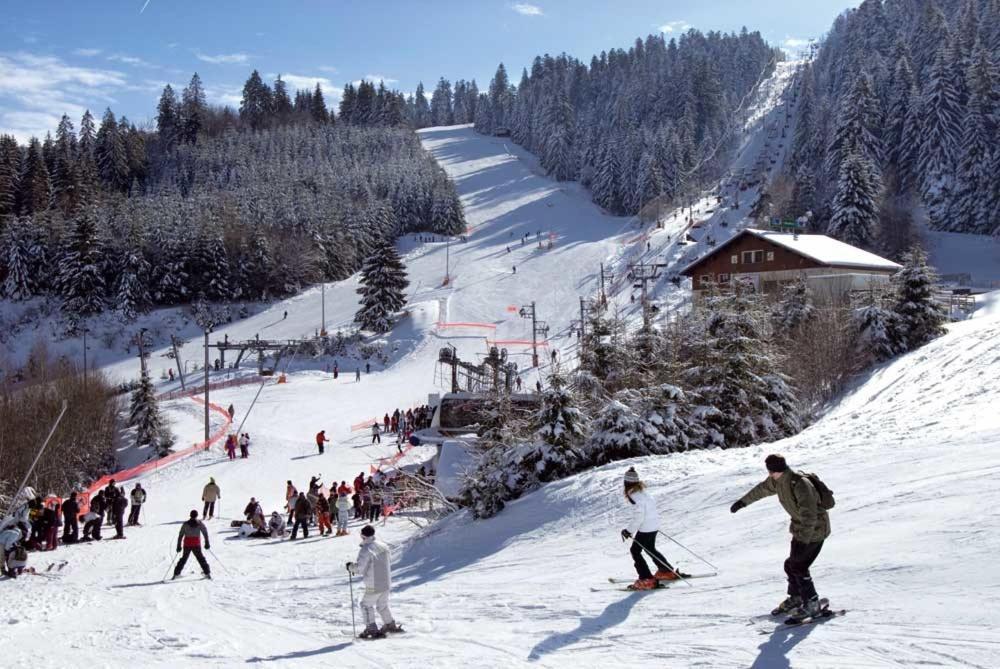 Au Chalet D'Aline - Atypique Pour 4 Personnes Villa Gérardmer Dış mekan fotoğraf