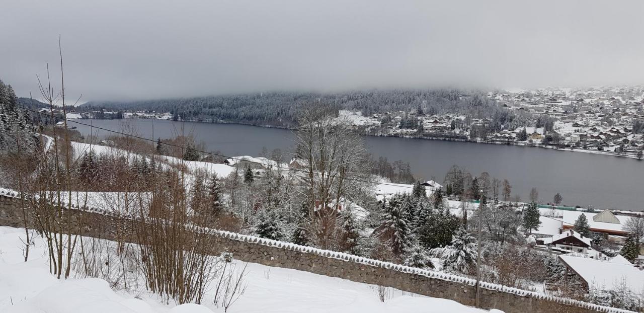 Au Chalet D'Aline - Atypique Pour 4 Personnes Villa Gérardmer Dış mekan fotoğraf