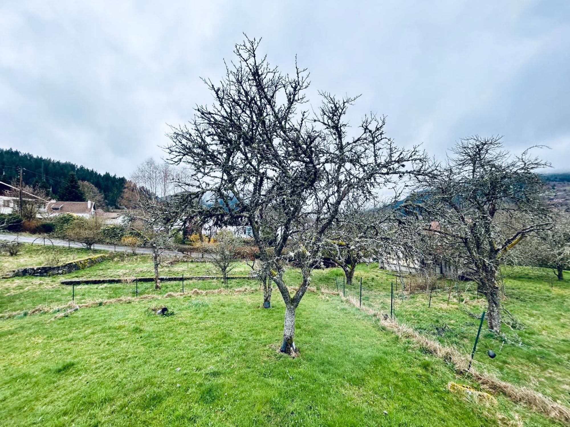 Au Chalet D'Aline - Atypique Pour 4 Personnes Villa Gérardmer Dış mekan fotoğraf